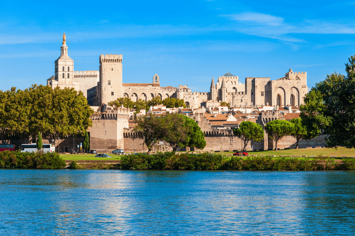 Shires Avignon Guance Briglia In Rovere: Eleganza E Robustezza Per La Tua Testiera