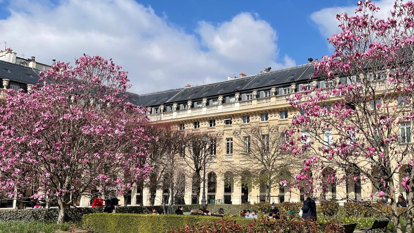 © Domaine National du Palais-Royal