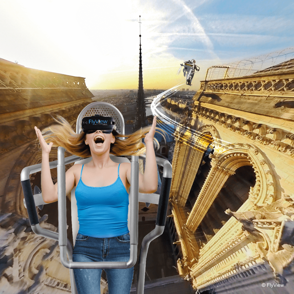 Flyview - vola sul Notre Dame di Parigi