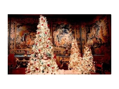 Chateau Vaux Le Vicomte - veduta esterna