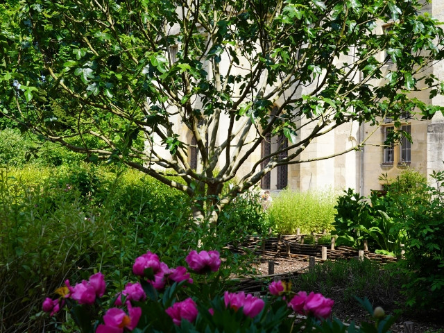 Parigi.it by Cuma Travel s.r.l.