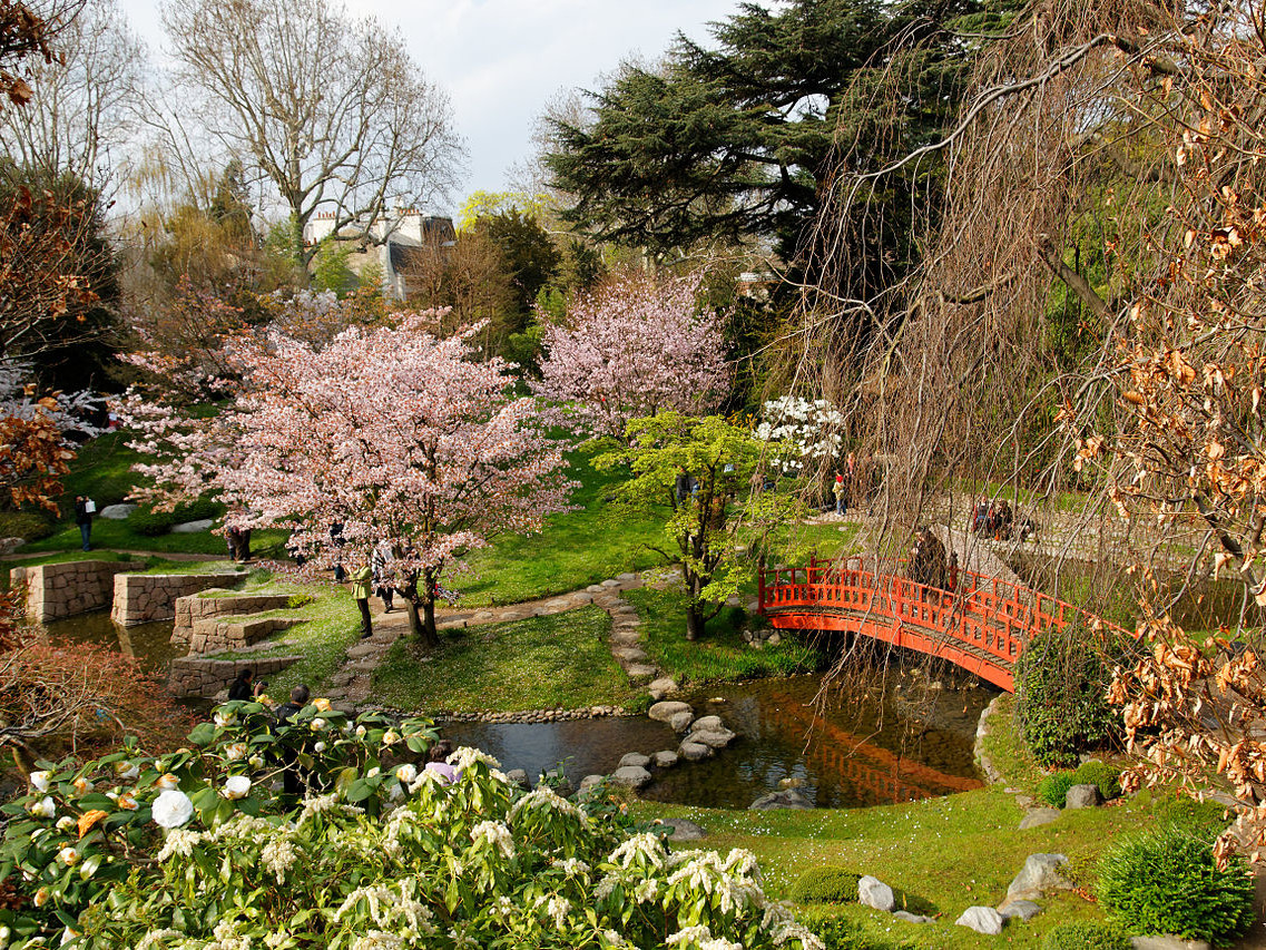 Giardino giapponese - Musée Albert Kahn Parigi