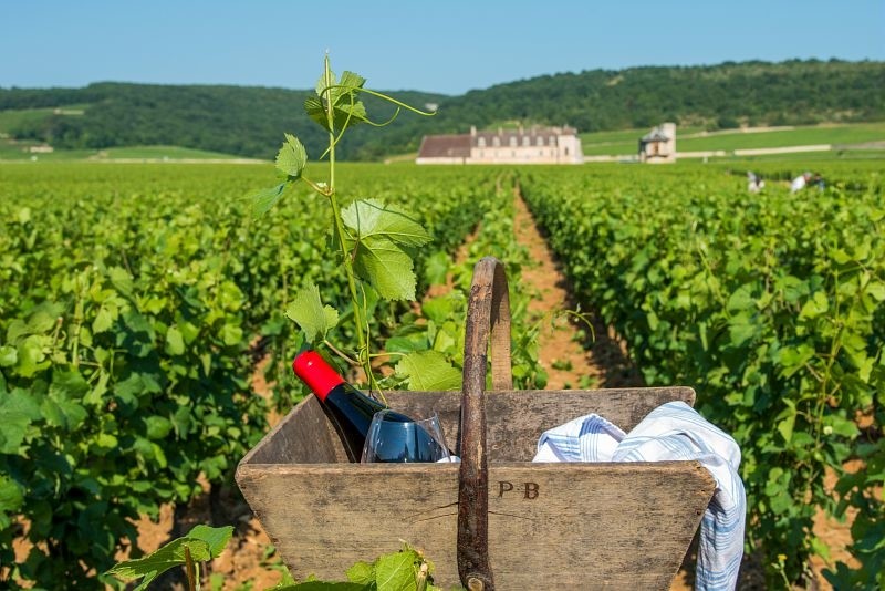 © Photo Alain DOIRE Bourgogne-Franche-Comte_Tourisme