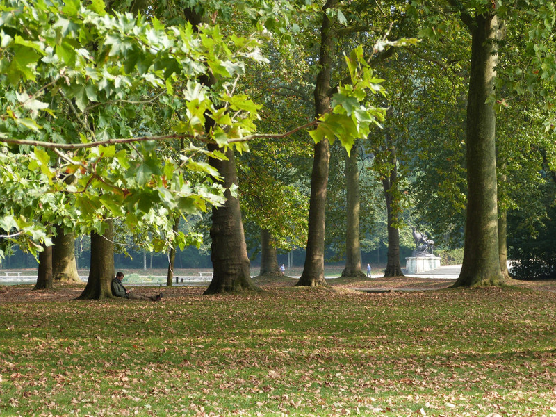Parco di Sceaux © Olivier Bouviala / Domaine départemental de Sceaux