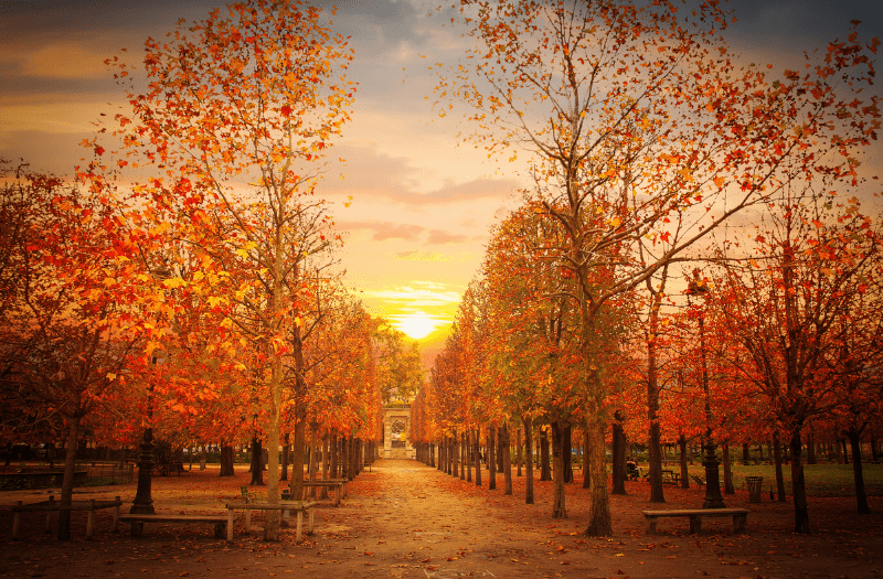 Jardin des Tuileries © Canva