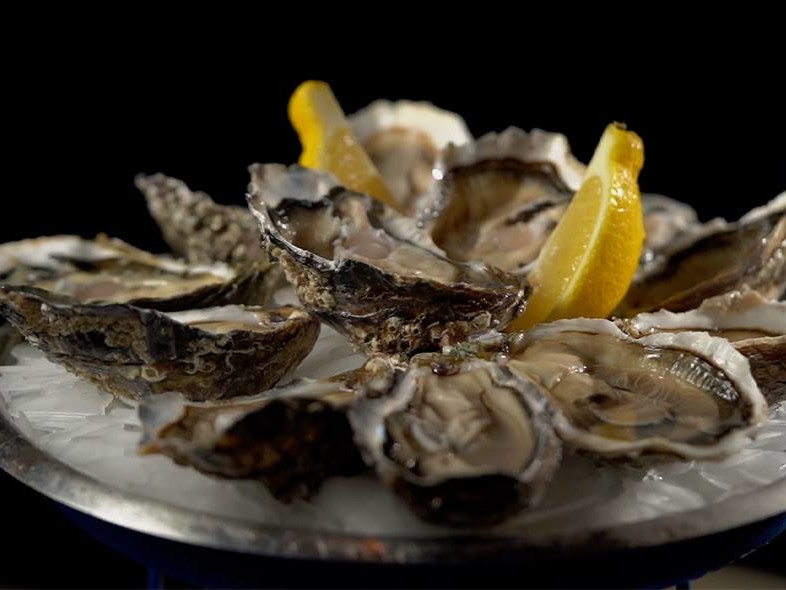 © Le Comptoir des Mers