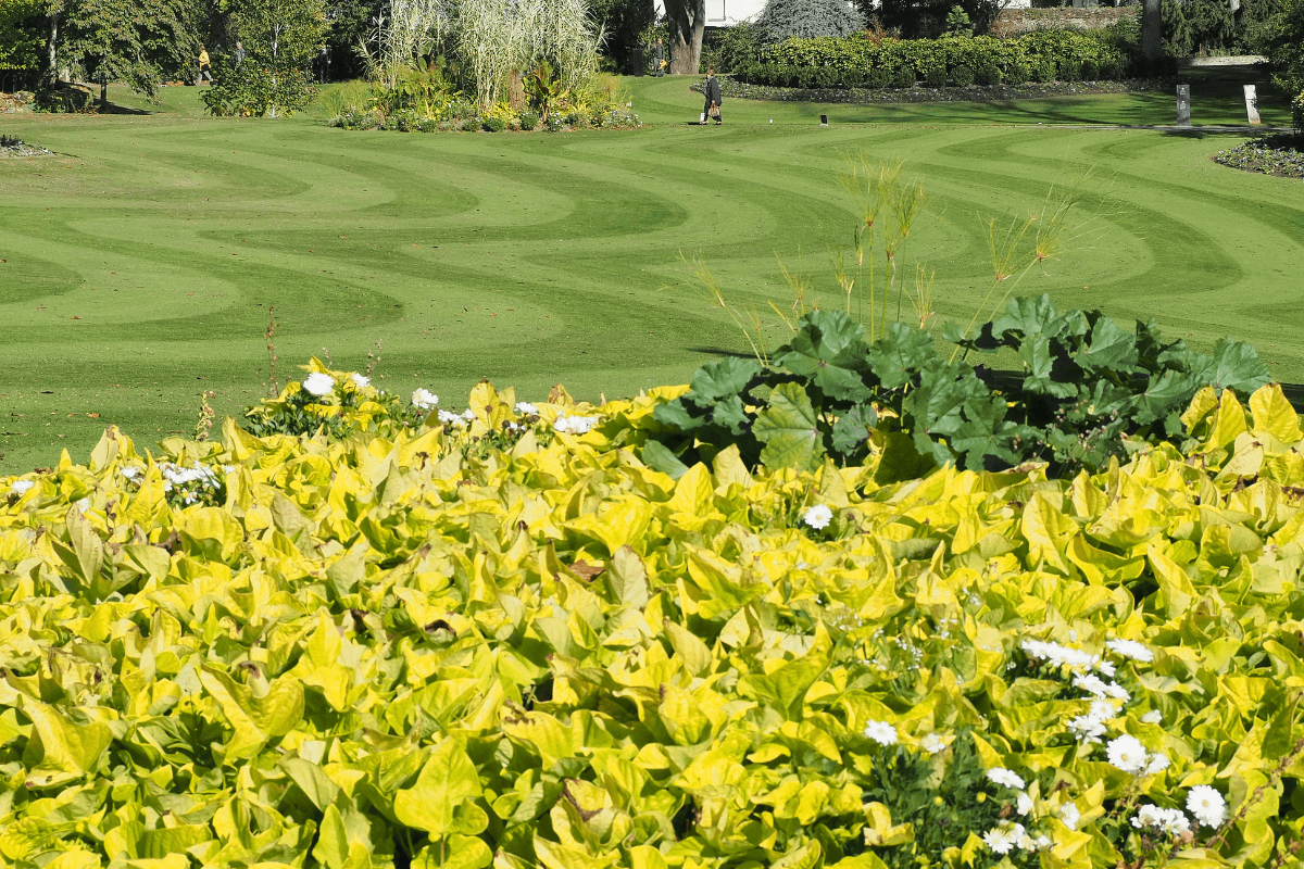 Jardin des Plantes Nantes © Canva