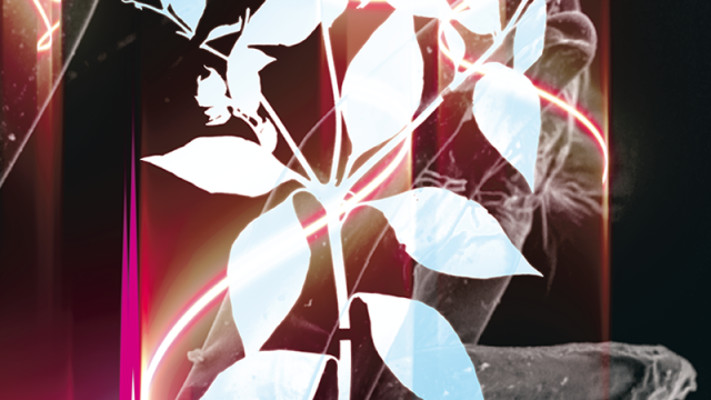 Parigi.it by Cuma Travel s.r.l.