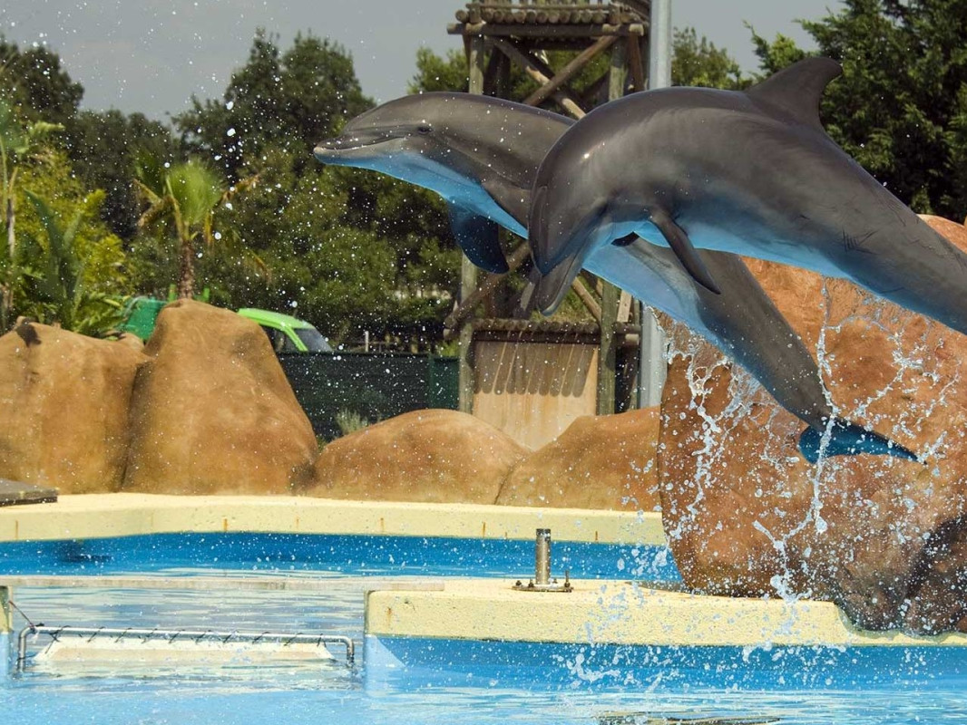 © https://www.marineland.fr/