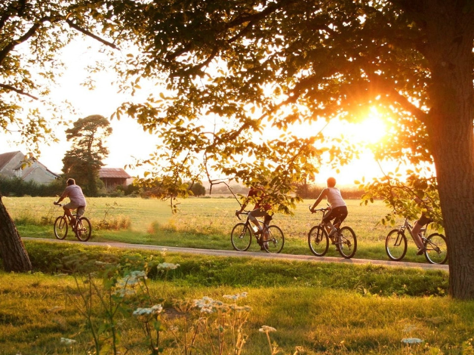 La Loire à Vélo © X. Pardessus