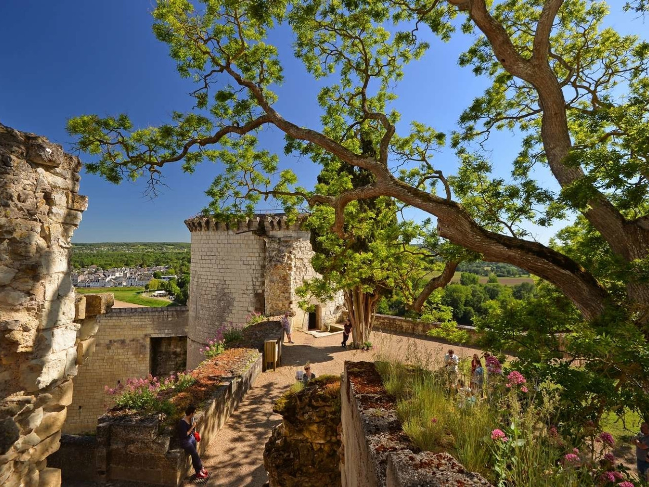Fortezza Reale di Chinon © Léonard de Serres