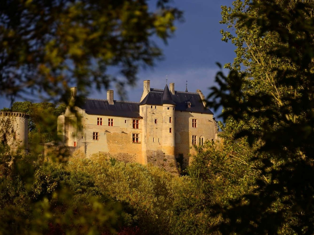 Fortezza Reale di Chinon © Léonard de Serres