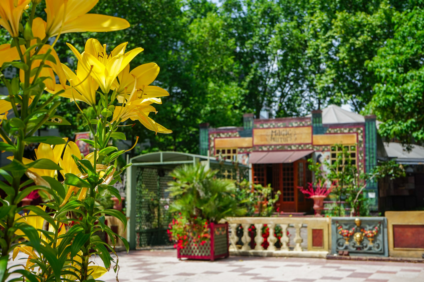 © Musée des Arts Forains