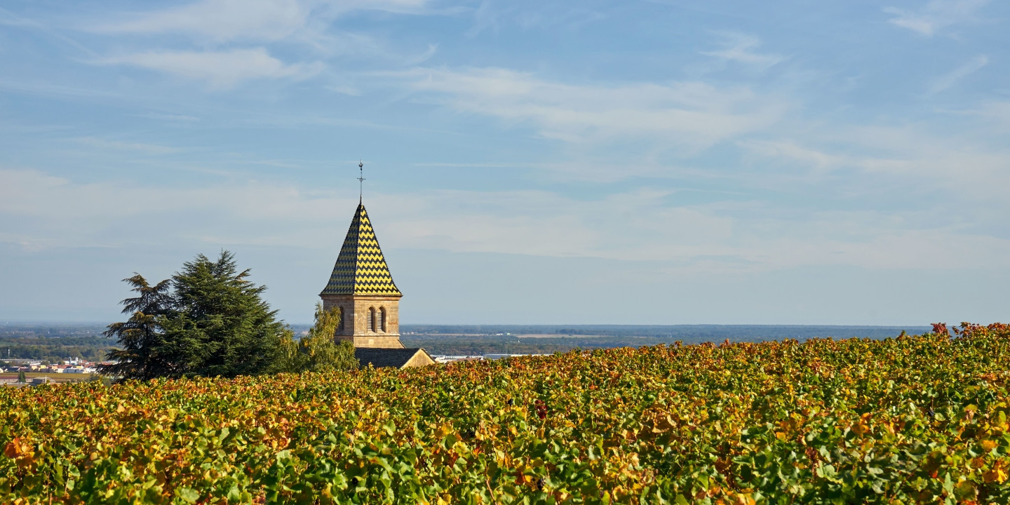 © photo Canva - Paesaggi di Borgogna