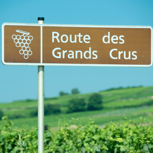 © Canva Route des Grands Crus