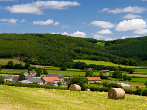 © Canva- Paesaggio della Borgogna