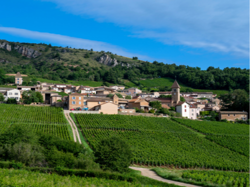 @ Canva- Vigneti del Mâconnais