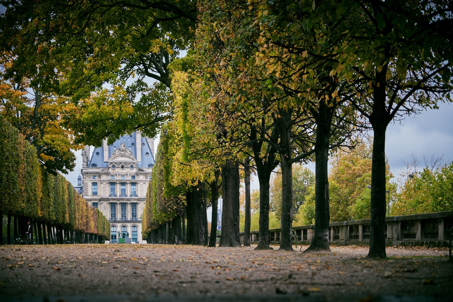 Jardin des Tuileries - ©Canva