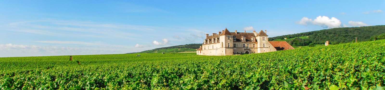 Clos_Vougeot in Borgogna -© Photo_Alain_Doire_Bourgogne_Tourisme