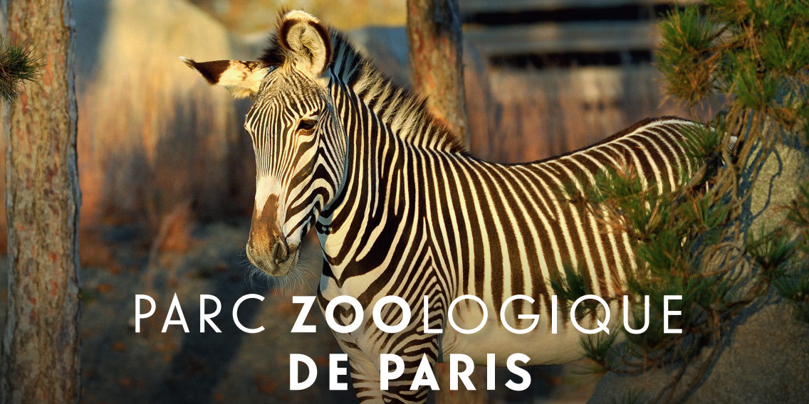 Zoo di Parigi Vincennes, Parco zoologico, info e biglietti