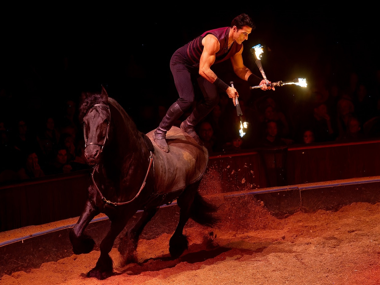 © Olivier Brajon - Les Folies Gruss