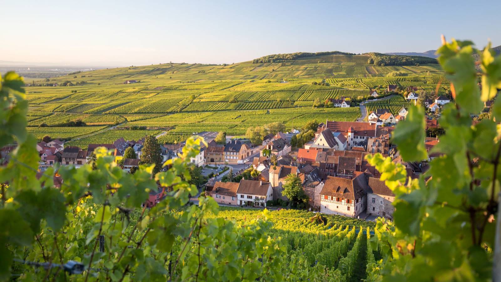 Route des Vins d'Alsace © Tristan Vuano - Visit Alsace