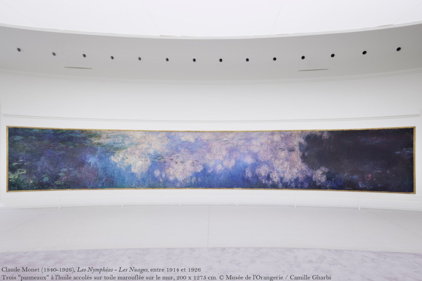 Nymphéas © Musée de l'Orangerie / Camille Gharbi