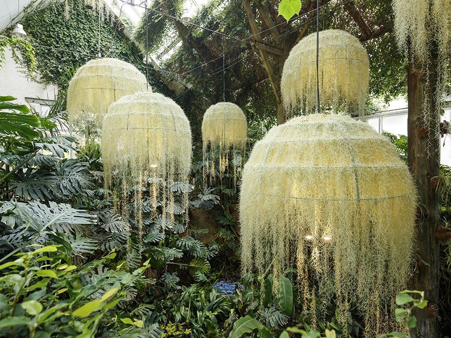 Foto © Éric Sander