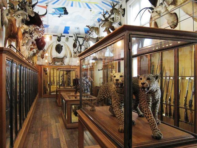 Museo della Caccia e della Natura