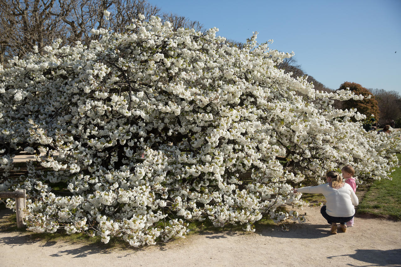 Jardin des plantes © Josephine Brueder - Ville de Paris