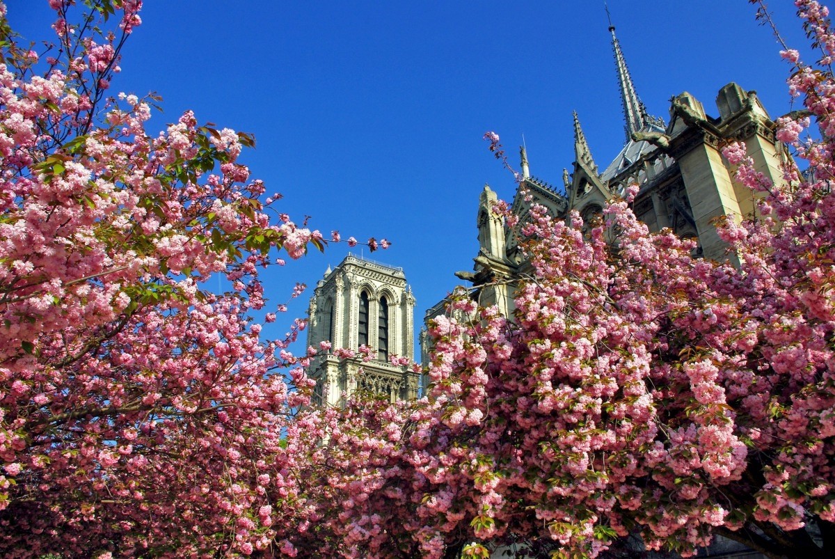 Square Jean XXIII © French Moments