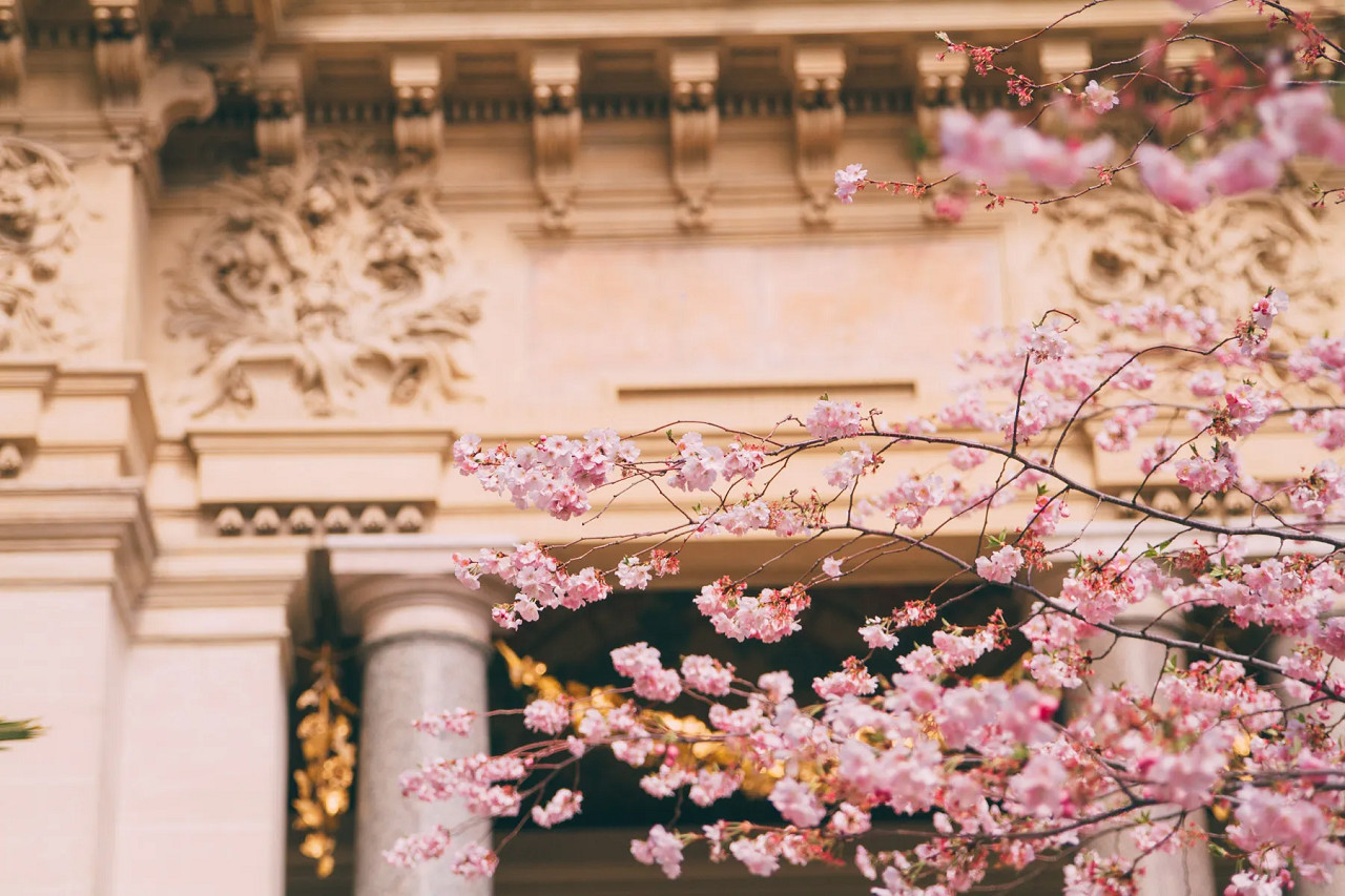 Jardin du Petit Palais © Les Carnets d'Alice