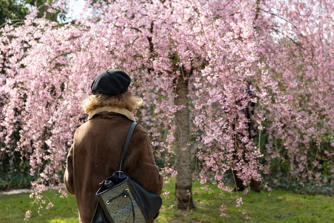 Parc de Bagatelle © Guillaume Bontemps - Ville de Paris