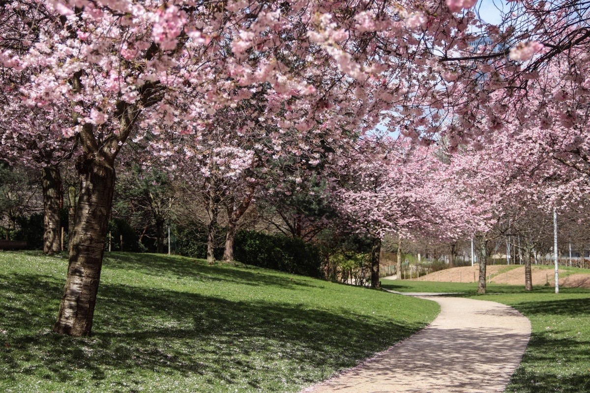 Parc Martin-Luther-King © My Little Road