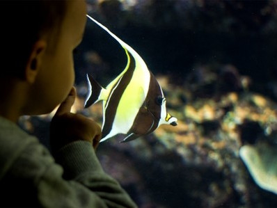 Aquarium de Paris Cineaqua