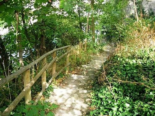 Jardin Sauvage rue St. Vincent Paris