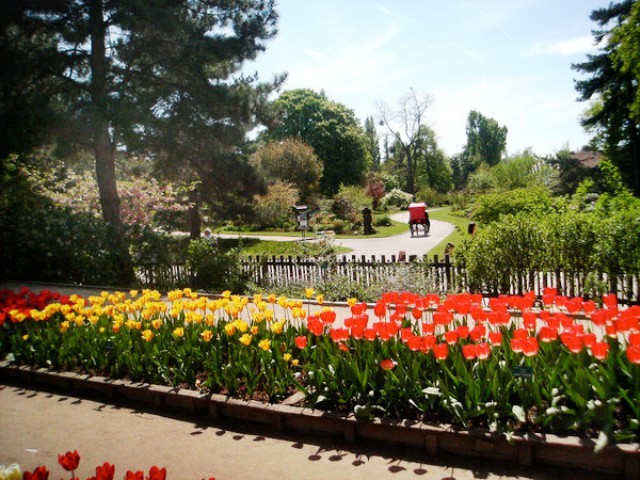 Parc Floral de Paris