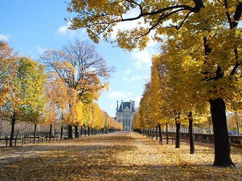 Jardin des Tuileries Paris