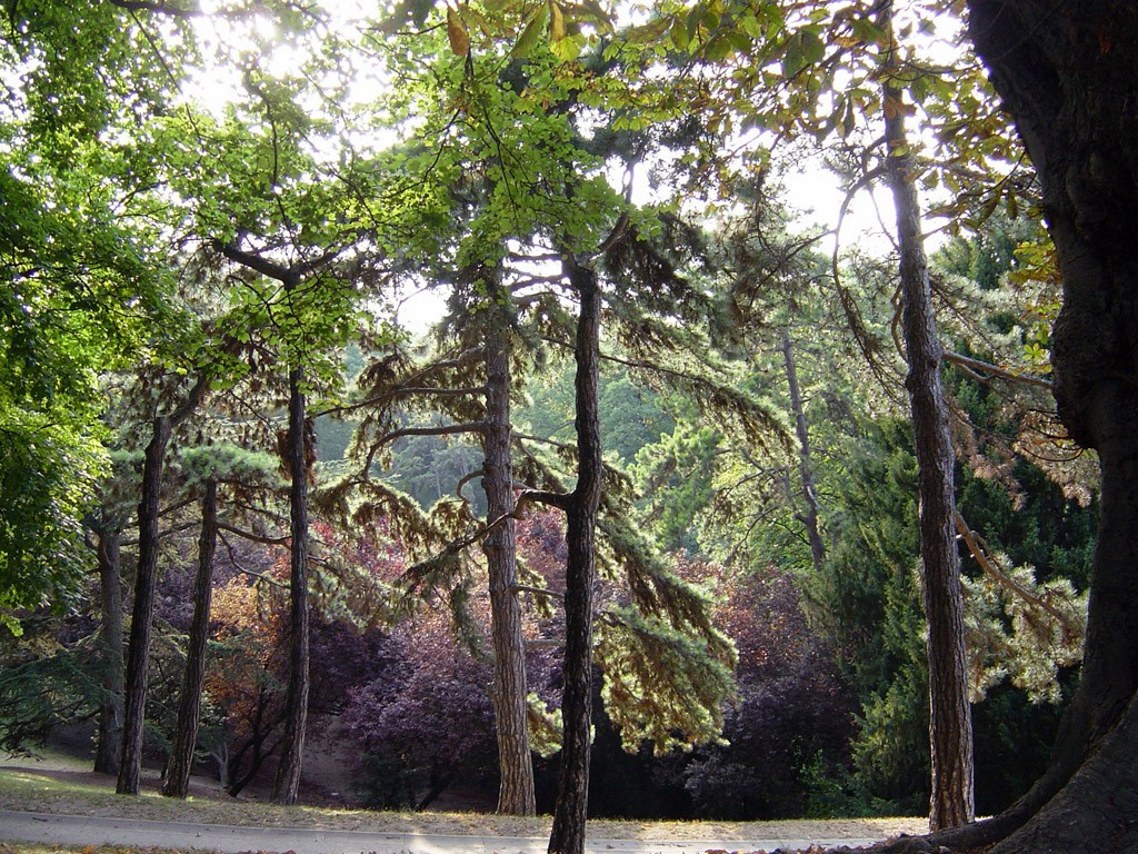 Parc des Buttes-Chaumont Paris