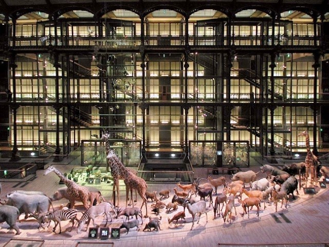 Museo nazionale di Storia naturale