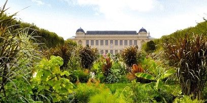 Jardin des Plantes