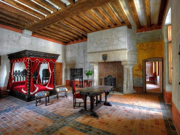 Château du Clos Lucé - Valle della Loira