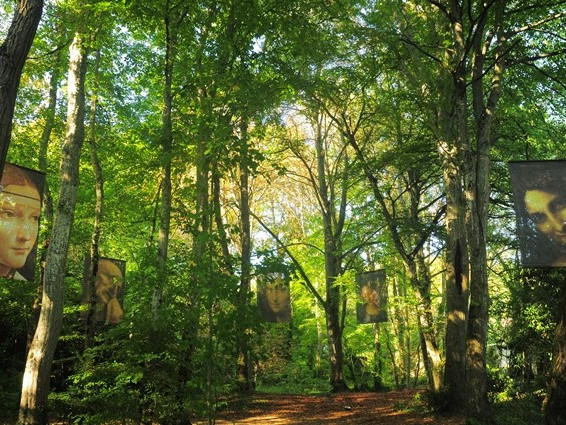 Château du Clos Lucé - Valle della Loira