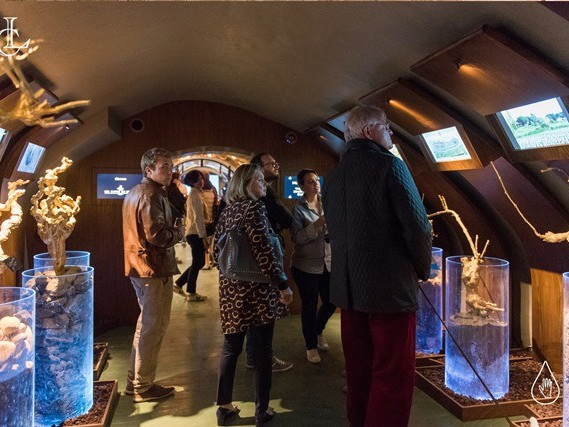 Caves du Louvre Paris 