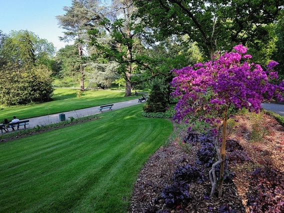 Jardin des Plantes © JEAN-SEBASTIEN EVRARD