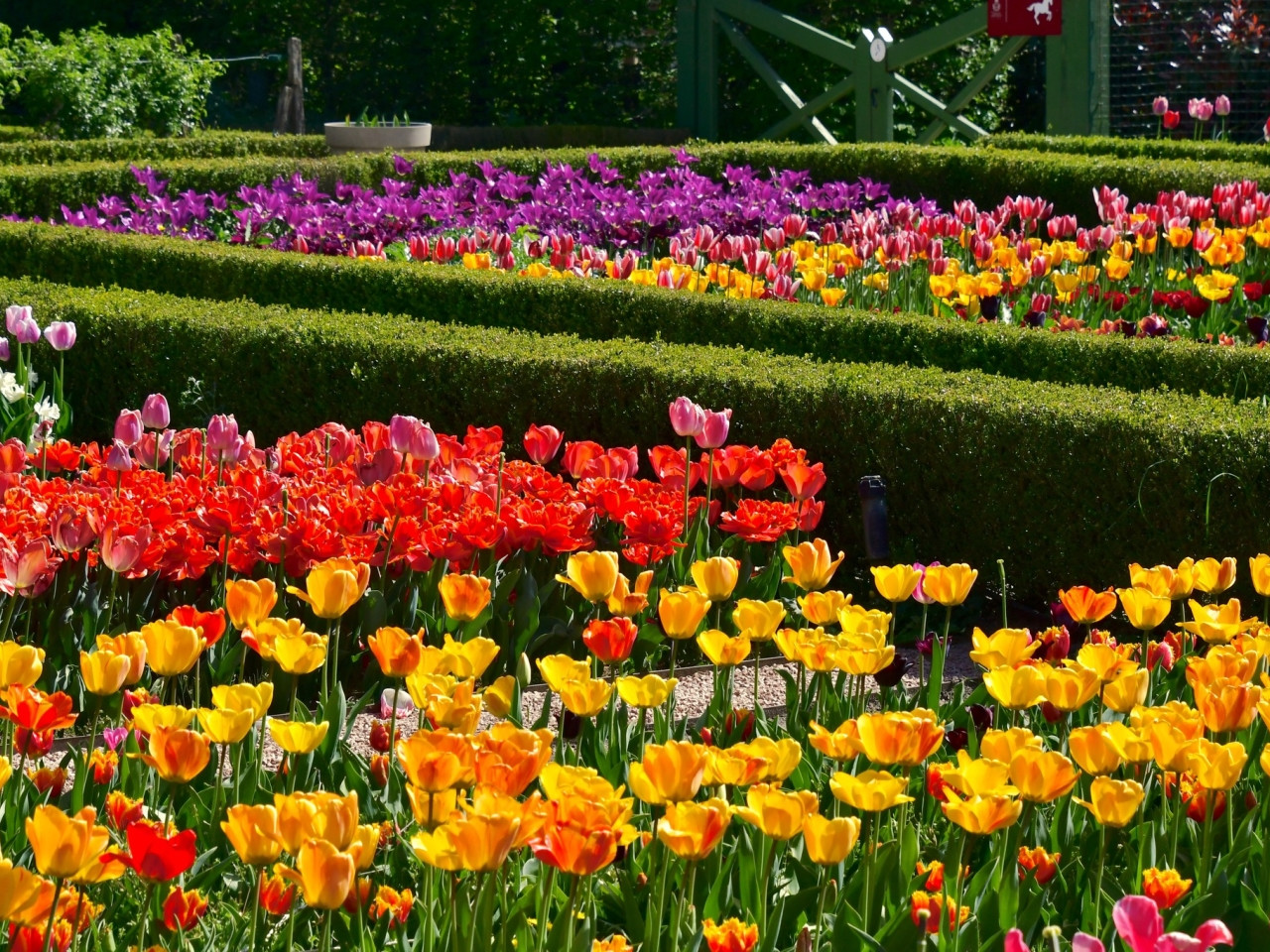 © Château de Cheverny