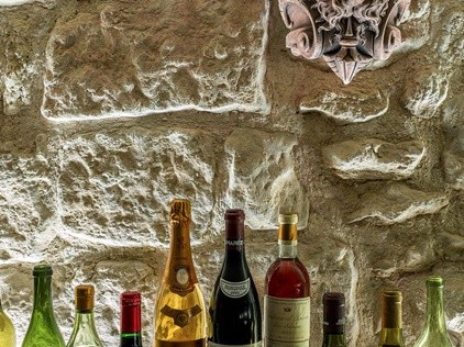 De Vinis Illustribus 