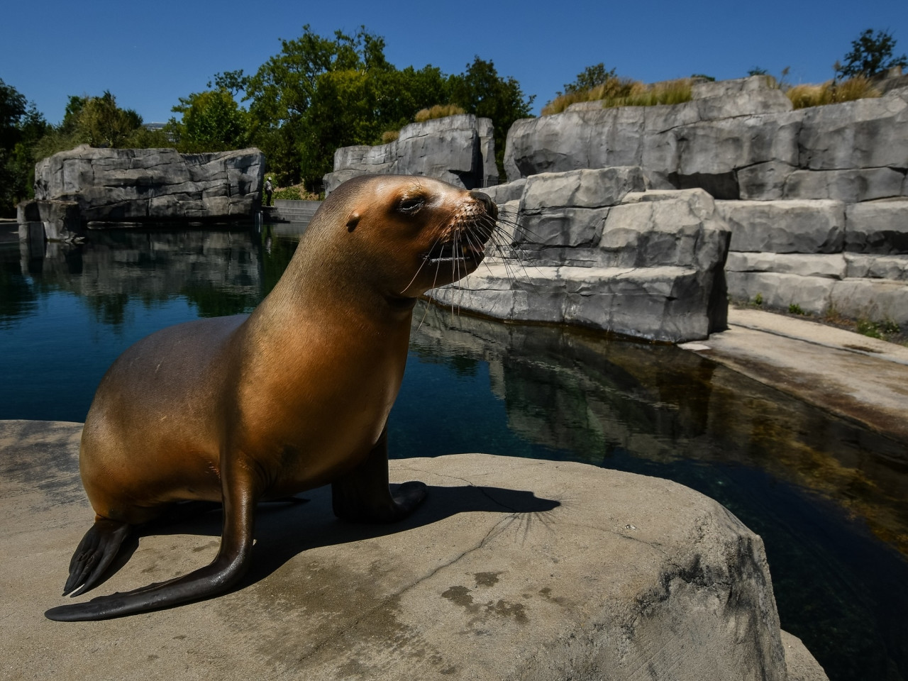 Parc Zoologique de Paris © MNHN - F-G Grandin