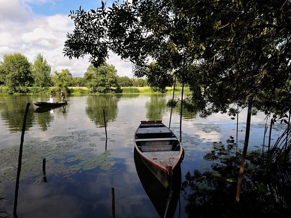 Le Loir © JEAN-SEBASTIEN EVRARD