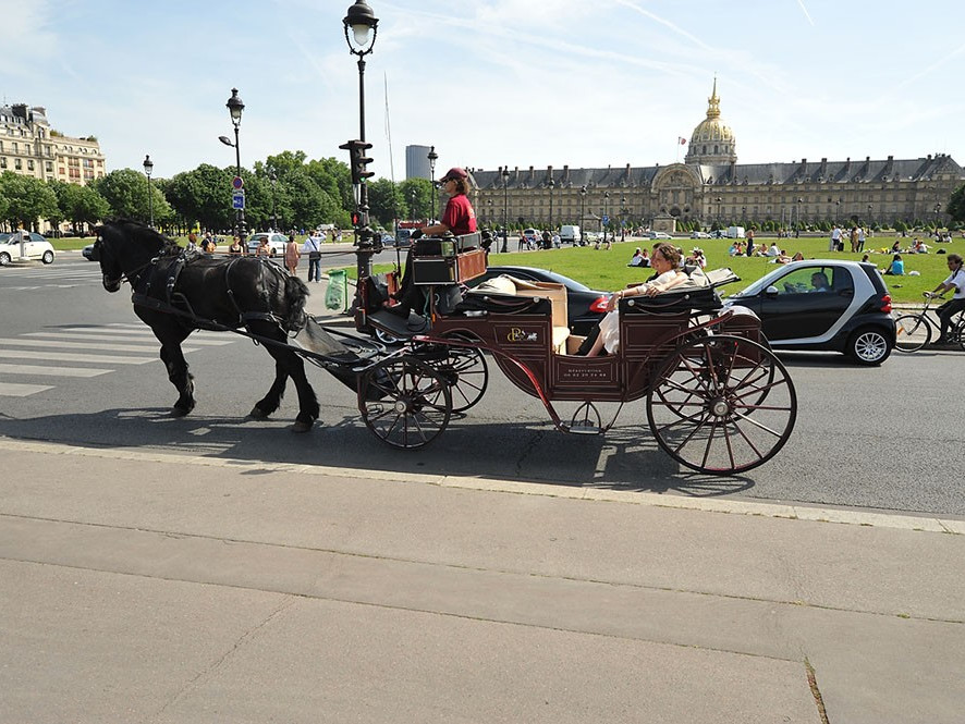 Tour in carrozza a Parigi di 2 ore
